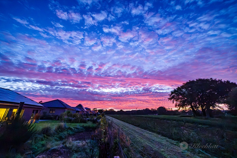 Morgenhimmel über Vaale mit rosa und violett leuchtenden Schäfchenwolken, rechts ein Baum, links ein Haus