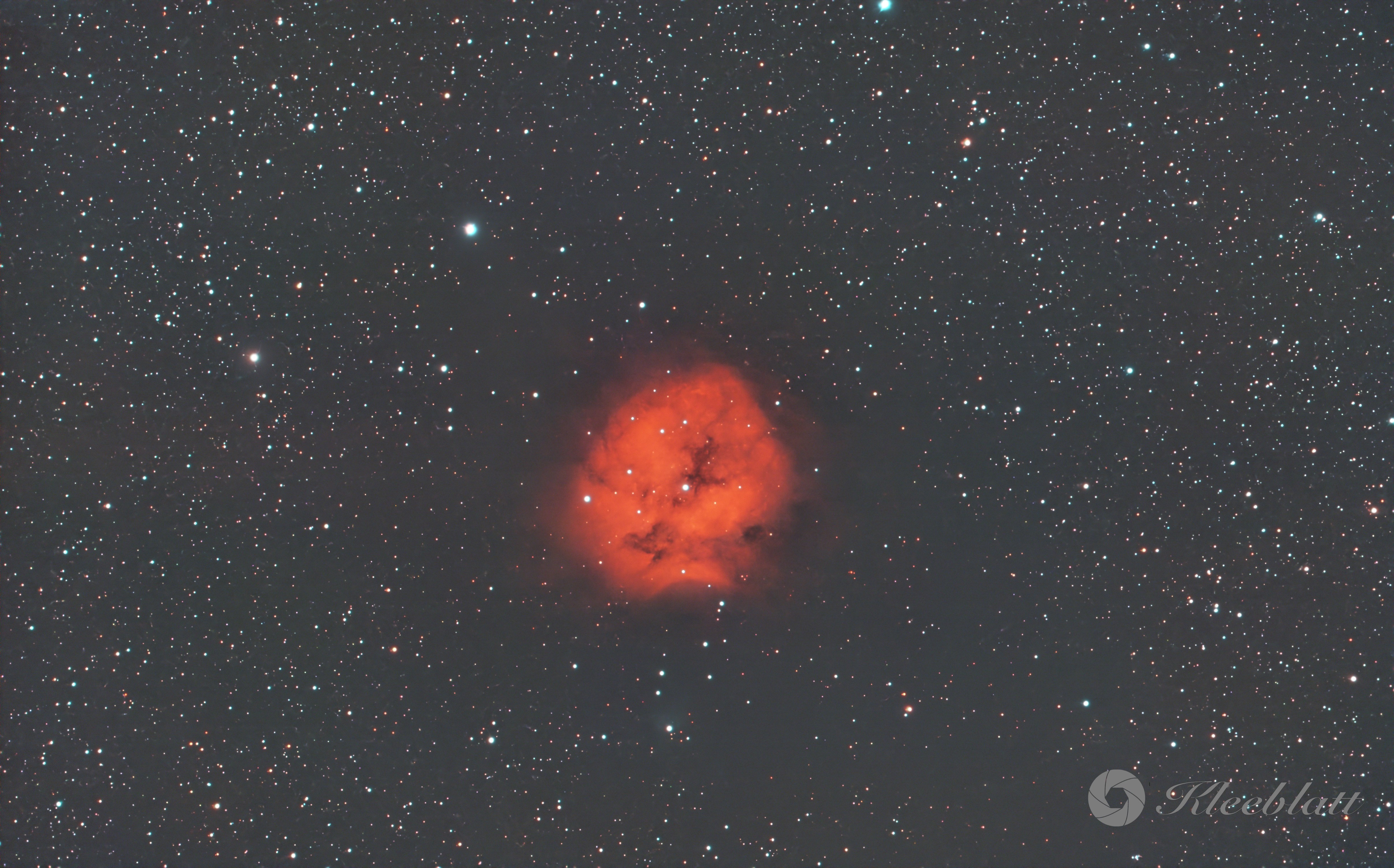 Cocon Dual Narrowband