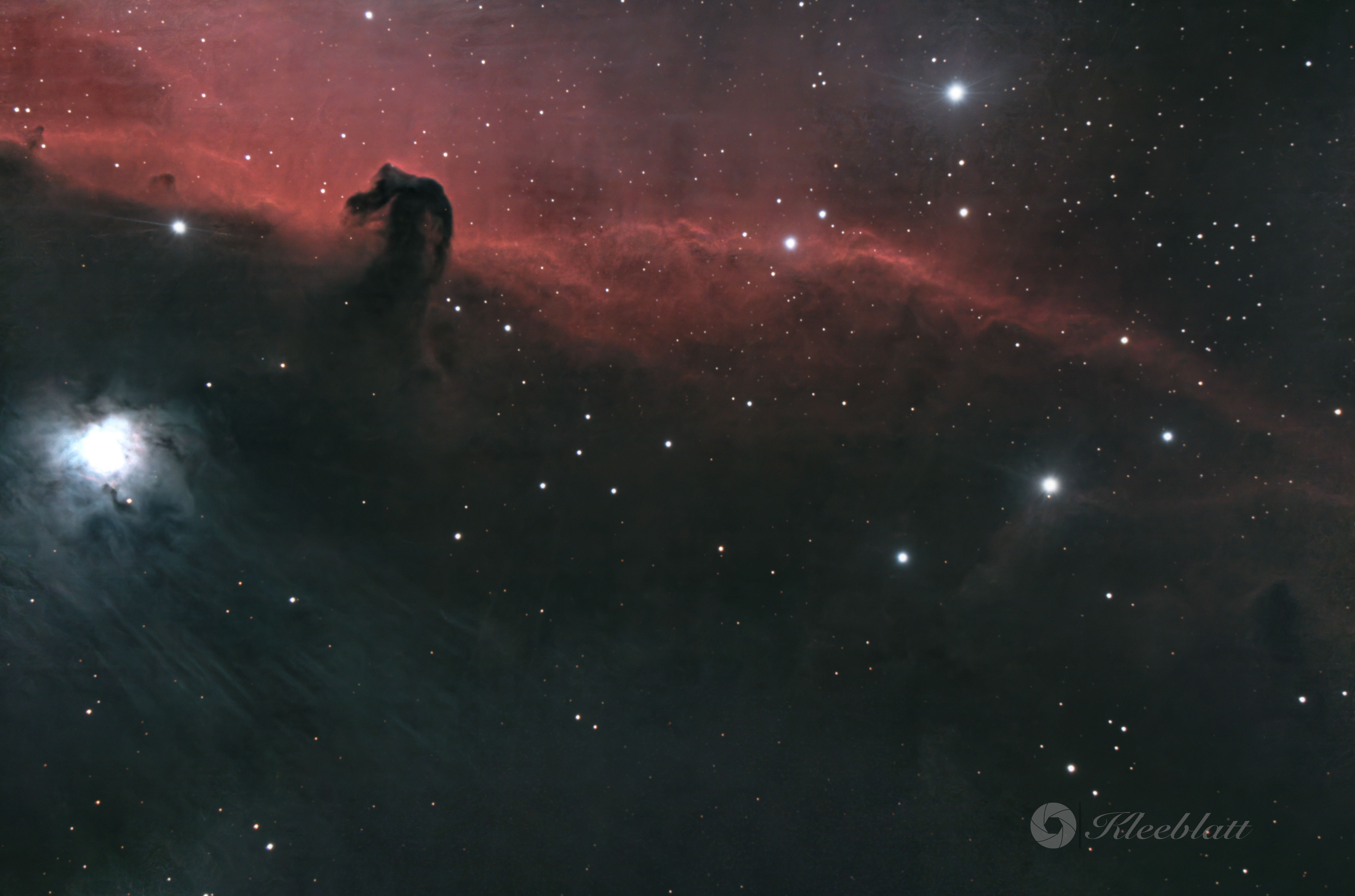 Horsehead 2