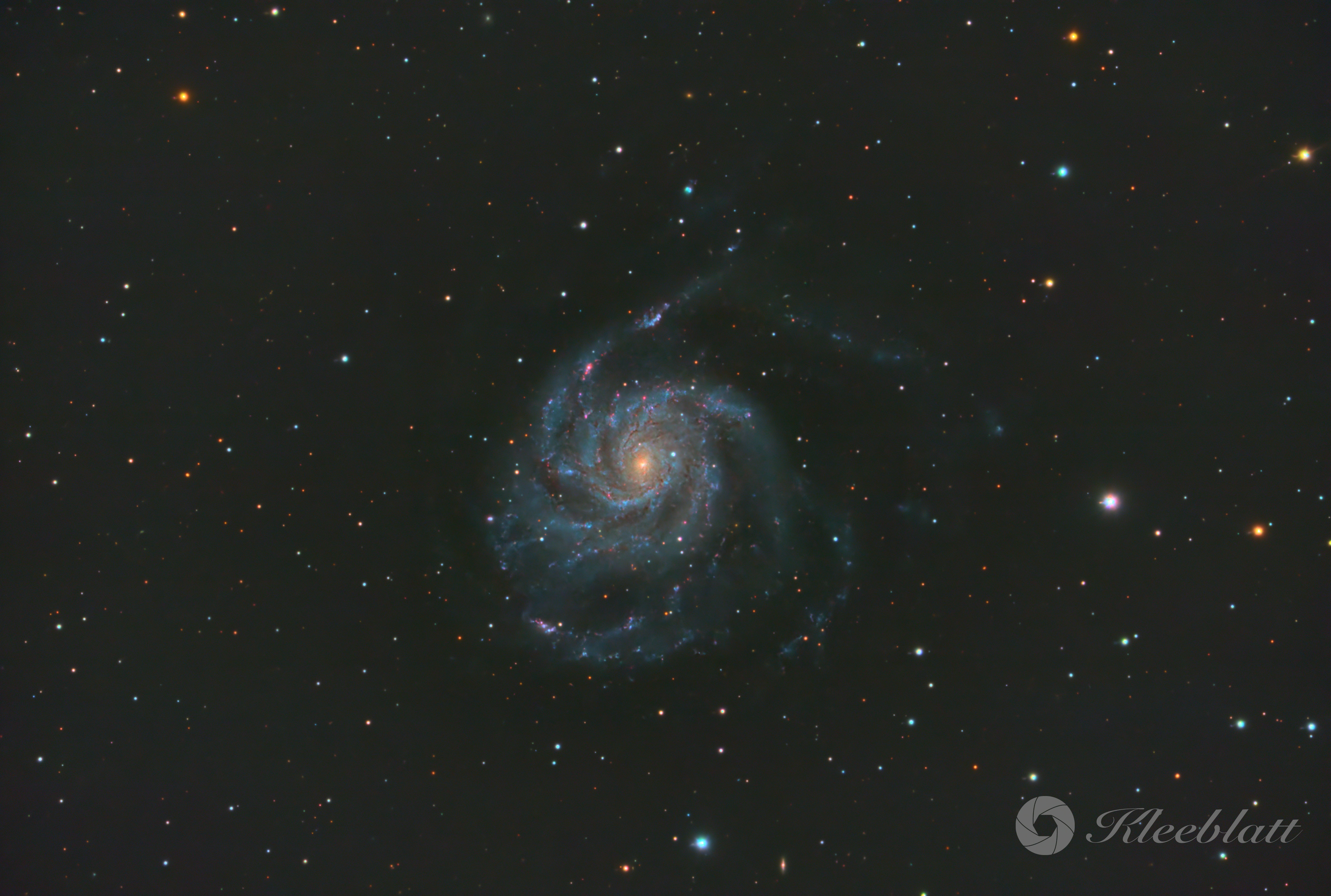 M101 03 2026 Color logo