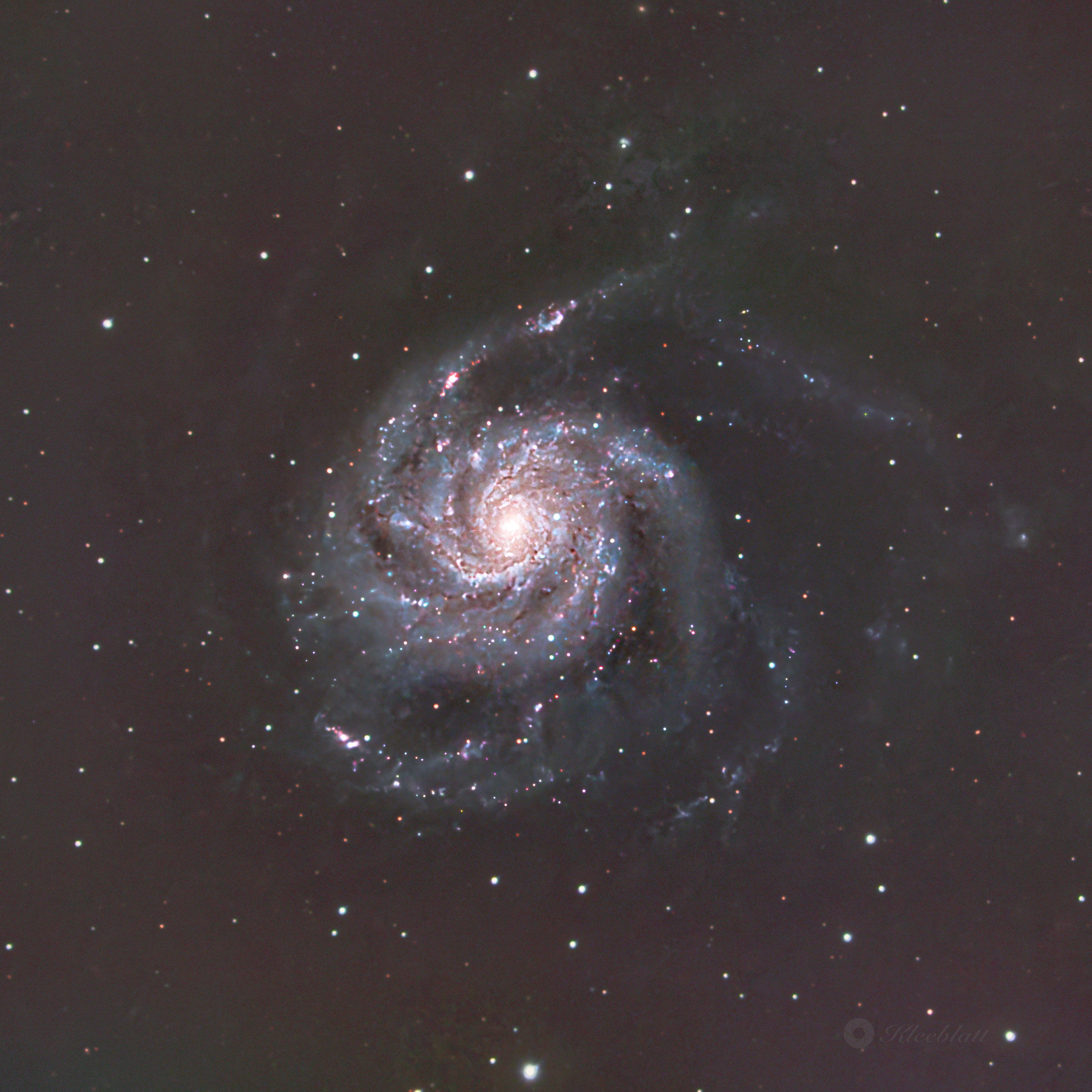 M101 2025