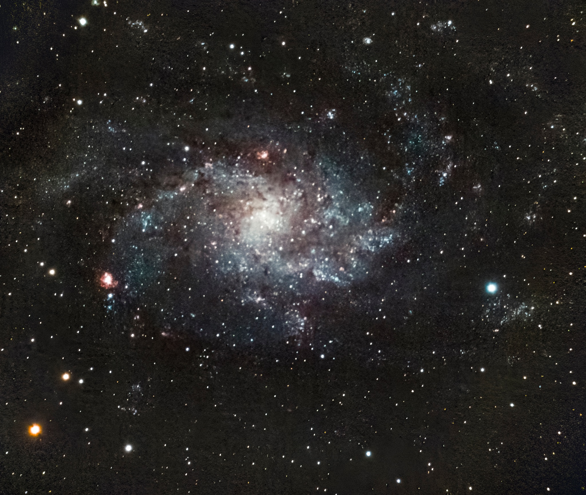 M33