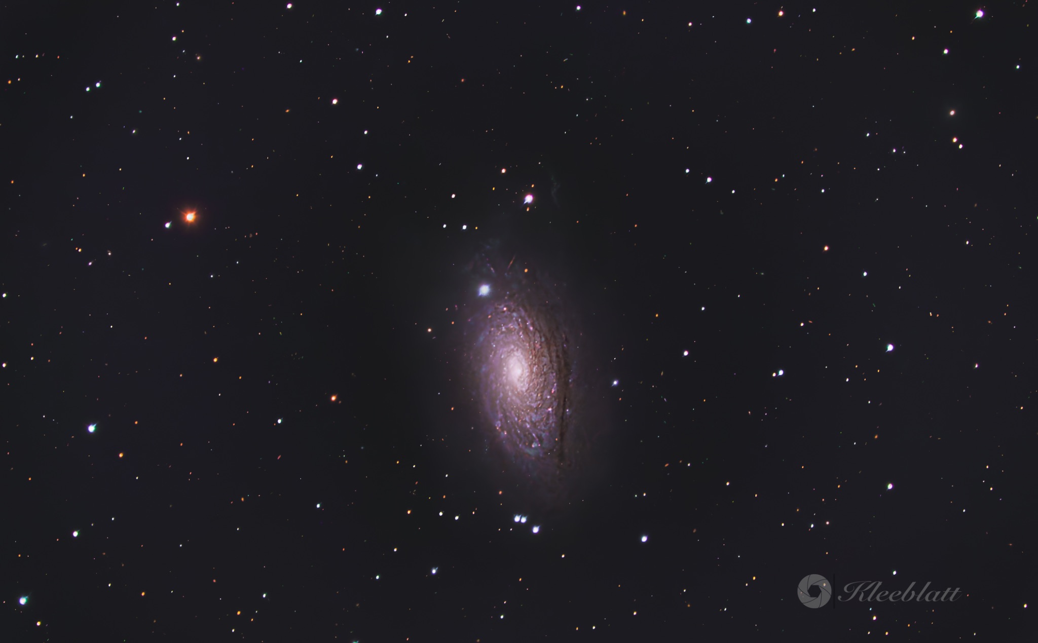 M63 Sun Flower
