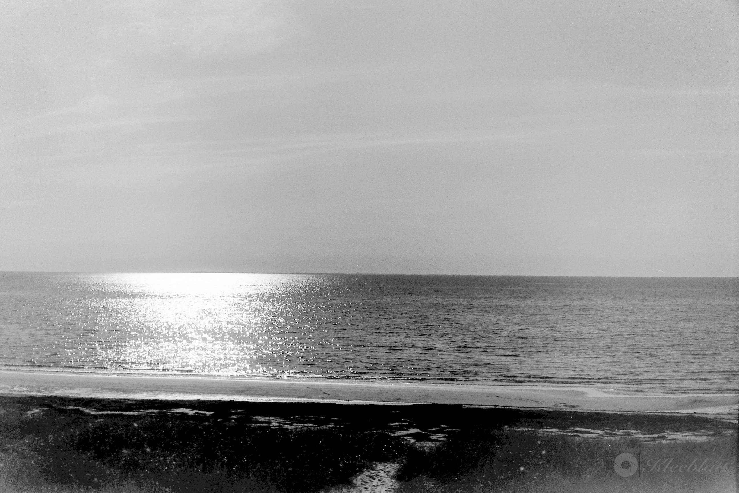 DK 35mm BW Analog 20211108 003