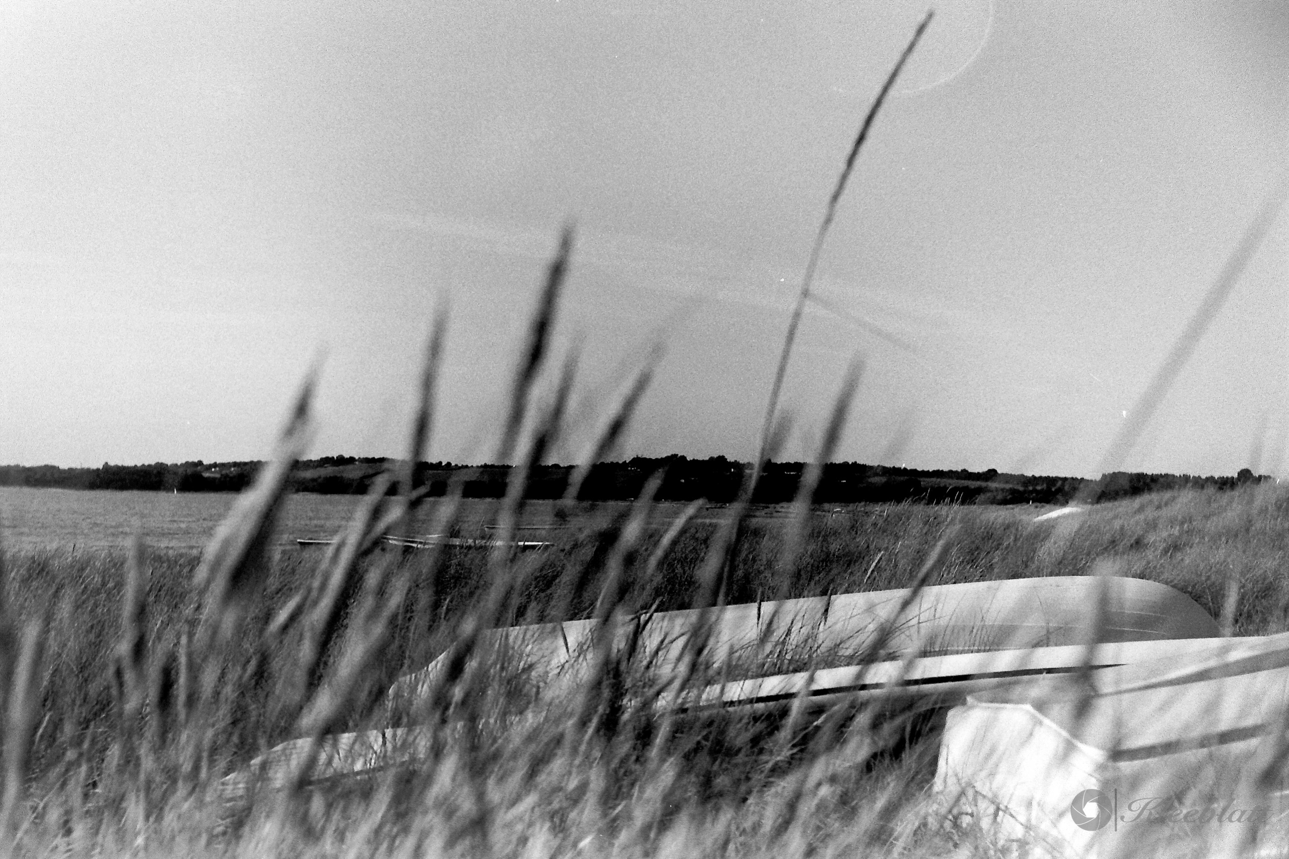 DK 35mm BW Analog 20211108 005