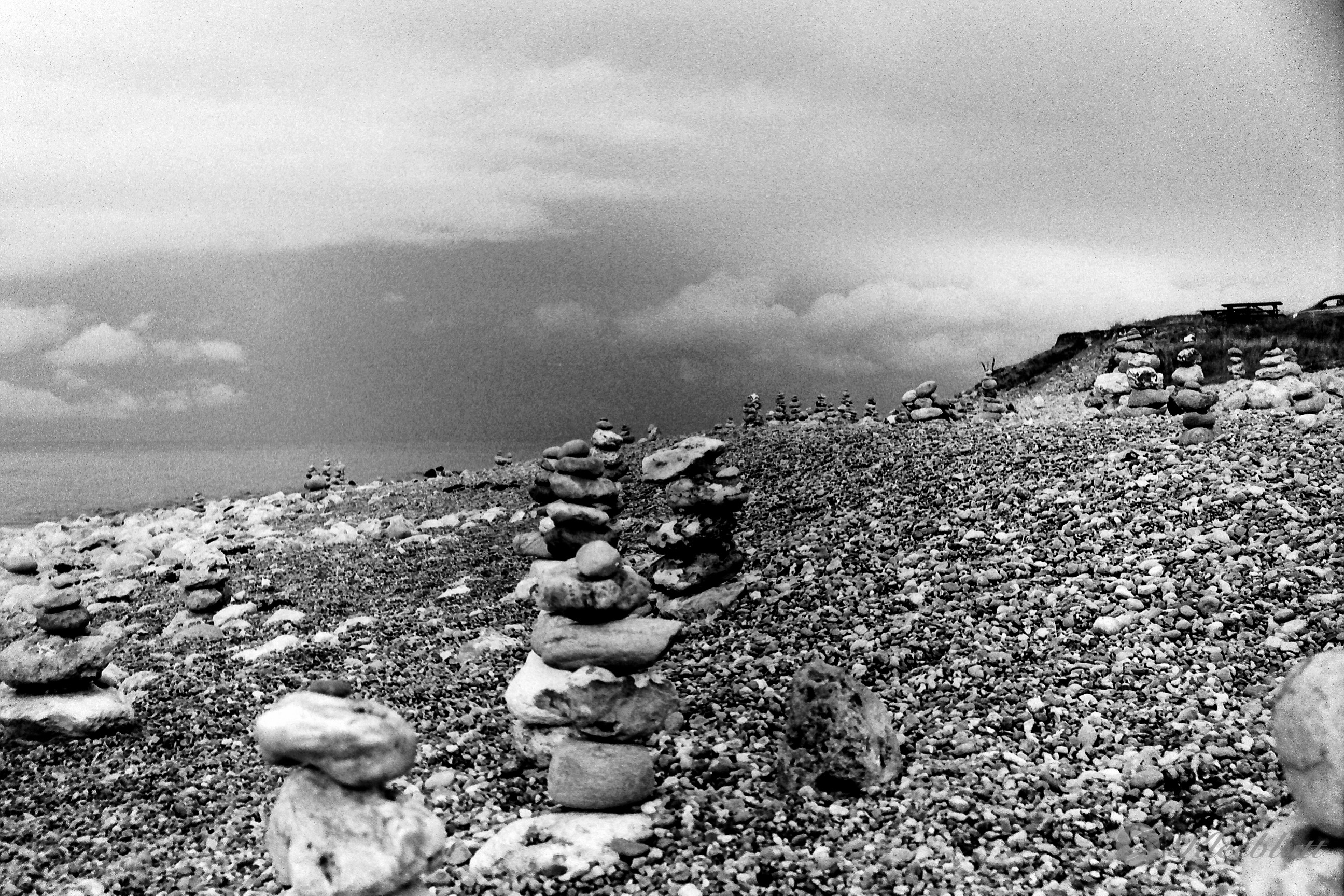 DK 35mm BW Analog 20211108 006