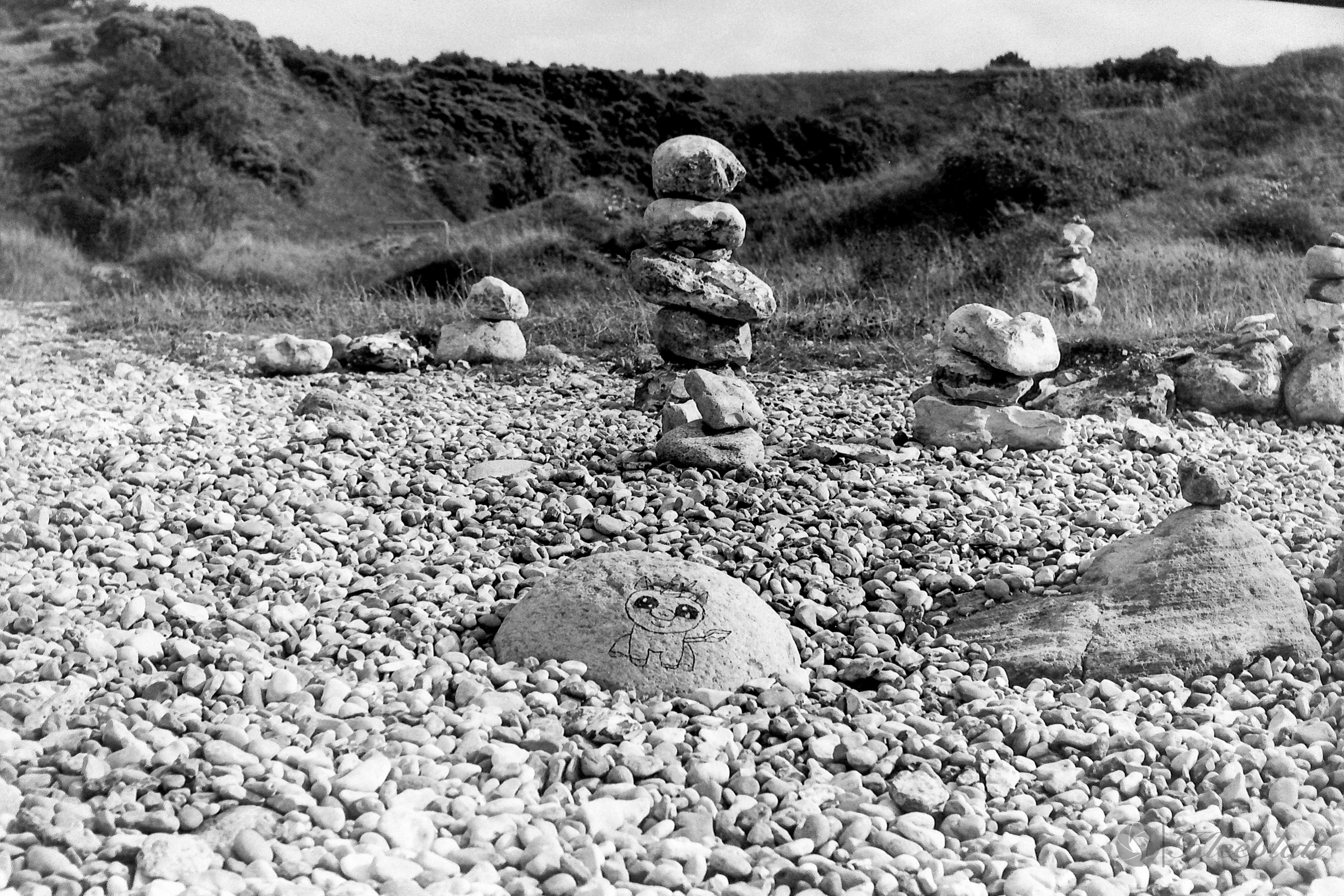 DK 35mm BW Analog 20211108 007