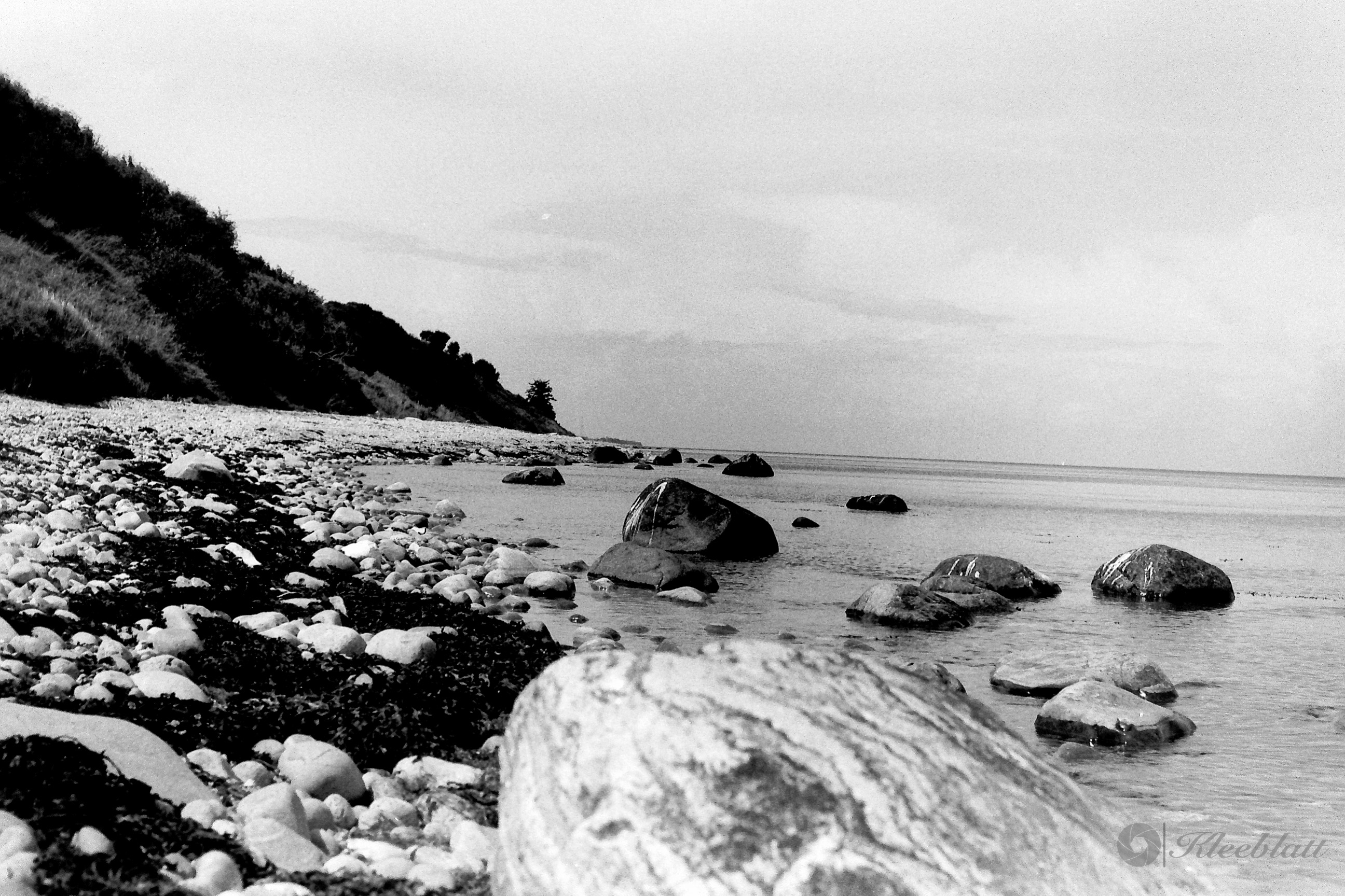 DK 35mm BW Analog 20211108 008