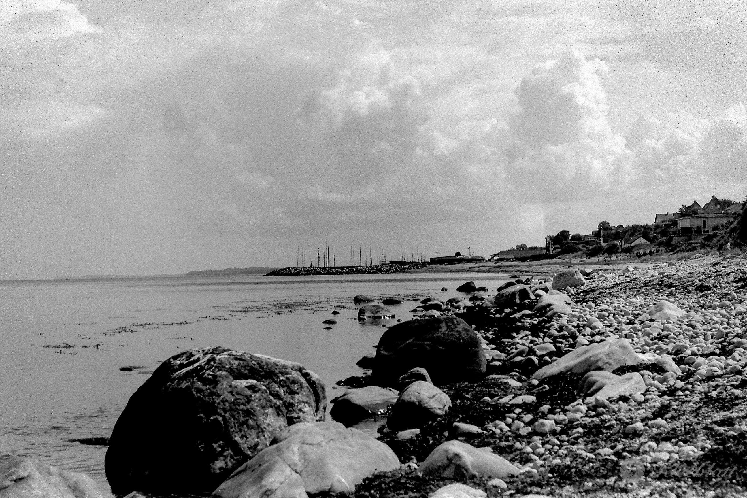 DK 35mm BW Analog 20211108 009