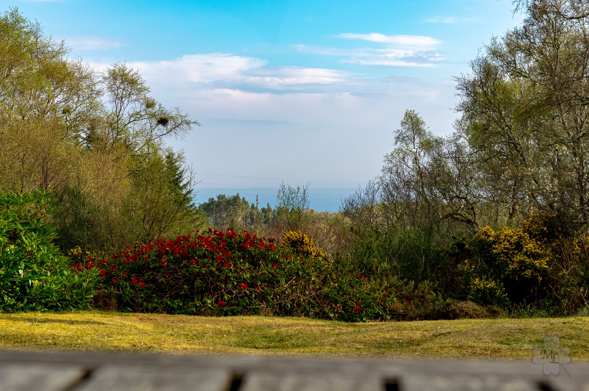 El Cabino View Golspie