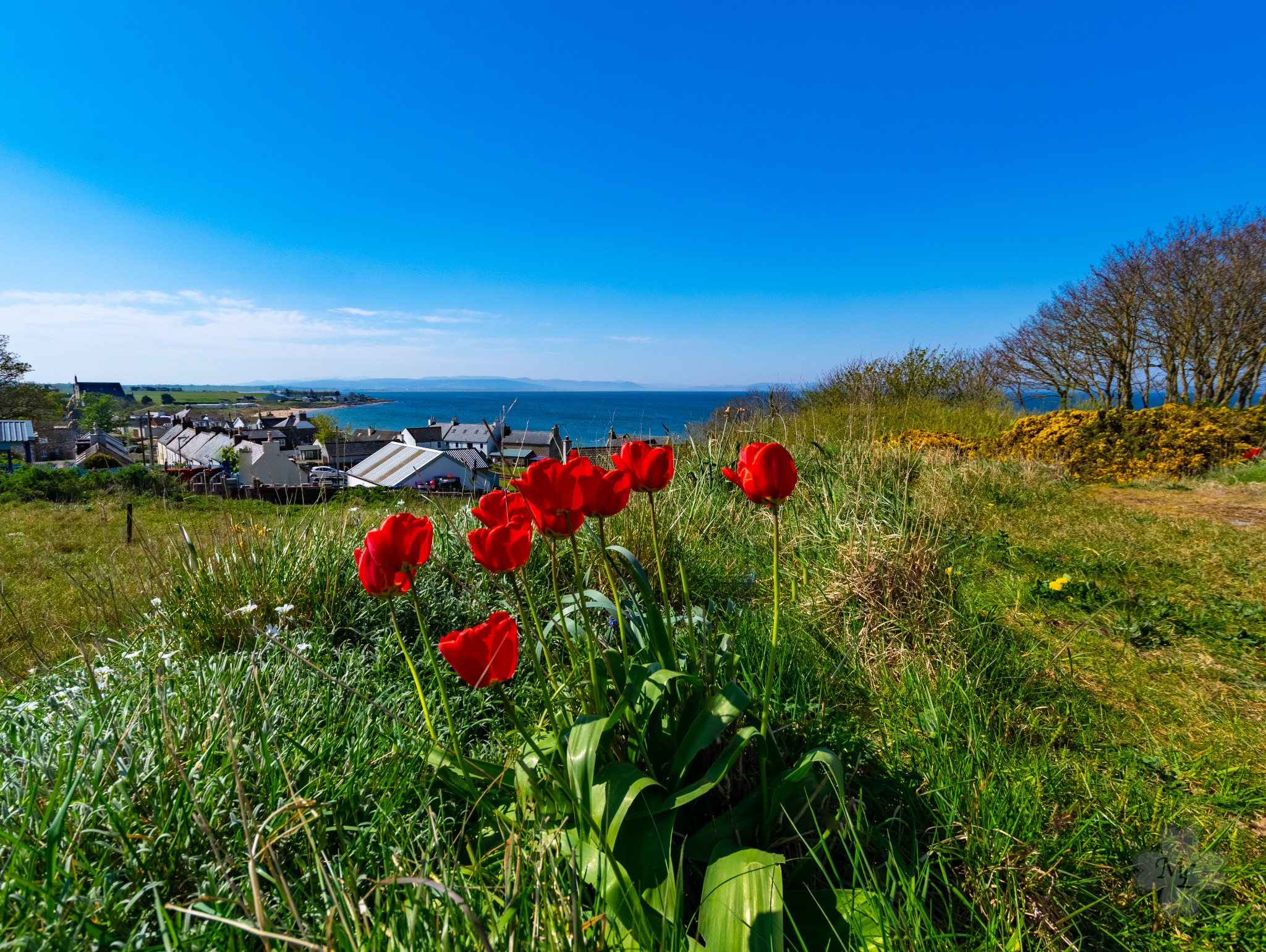 Portmahomack view tulpe hdr
